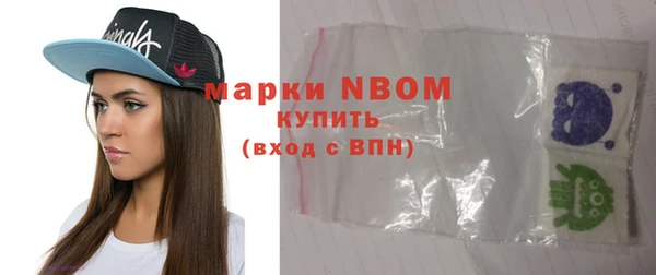 дживик Бронницы