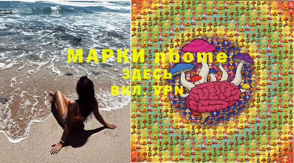экстази Бородино