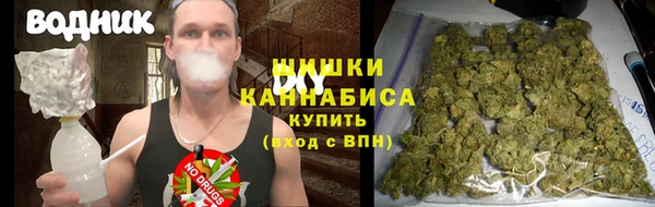 экстази Бородино